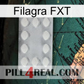 Filagra FXT 16